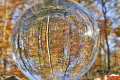 11-20 - ein Blick in die Kristallkugel